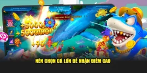Hướng Dẫn Chơi Bắn Cá Vua Hải Tặc Tại 6623 Cho Người Mới